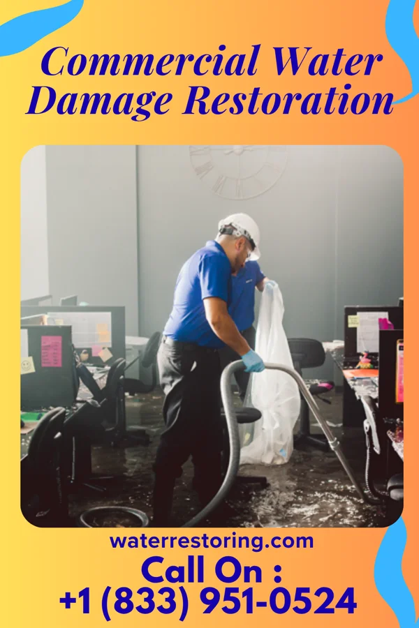 Commercial Water Damage Restoration in Mill Creek, PA