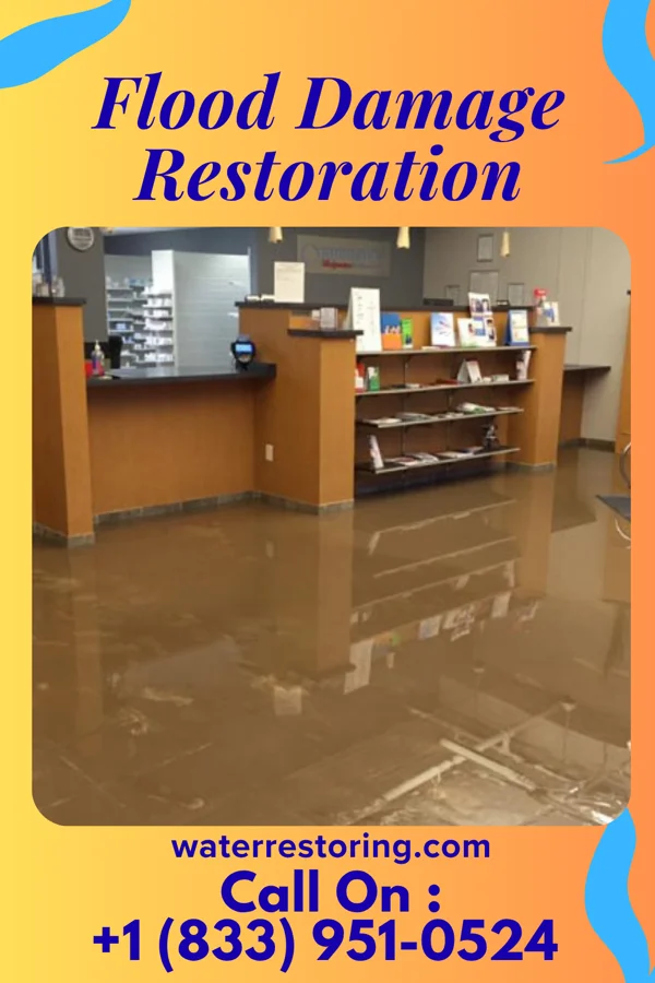 Flood Damage Restoration in Mill Creek, PA