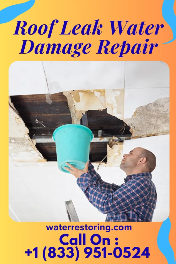 Roof Leak Water Damage Repair in Mill Creek, PA