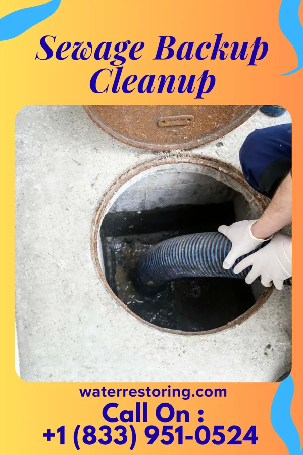 Sewage Backup Cleanup in Mill Creek, PA