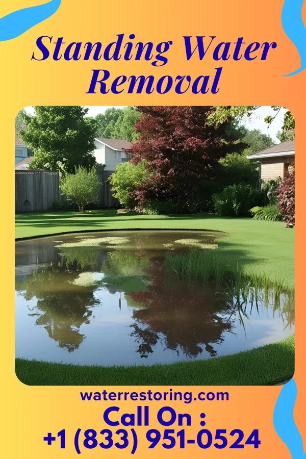 Standing Water Removal in Mill Creek, PA